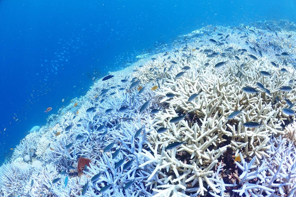 宮古島の美しい海