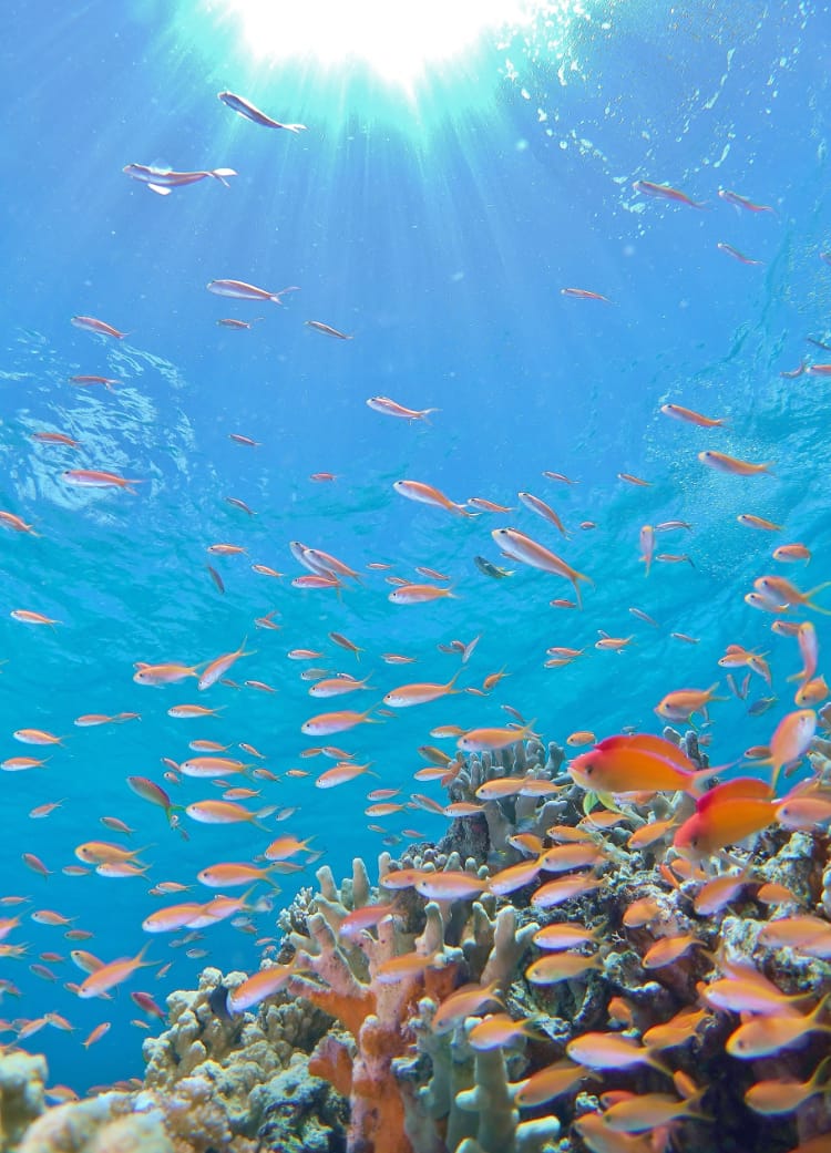 宮古島の美しい海