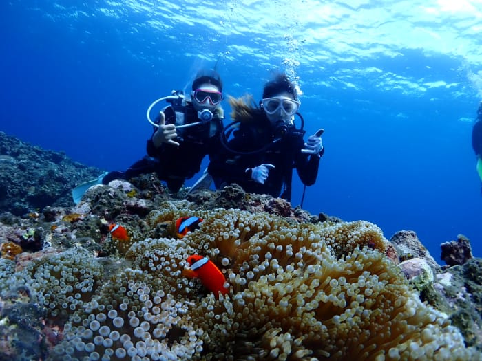 ダイビングルール