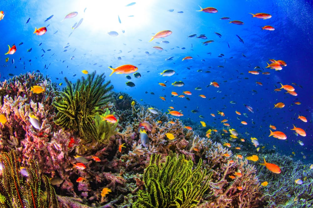 宮古島の美しい海