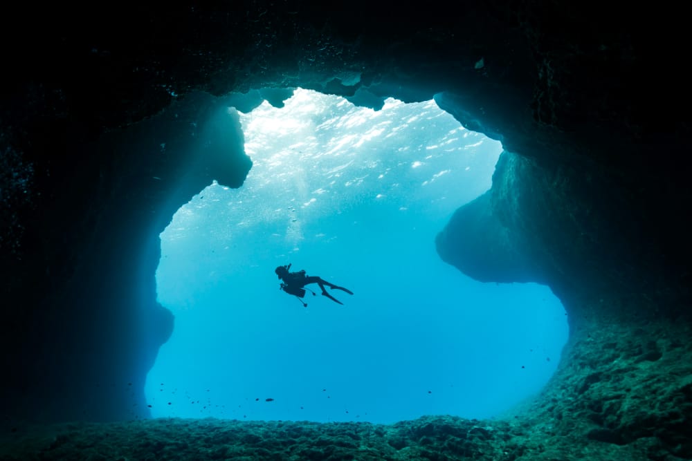 ダイビングの様子