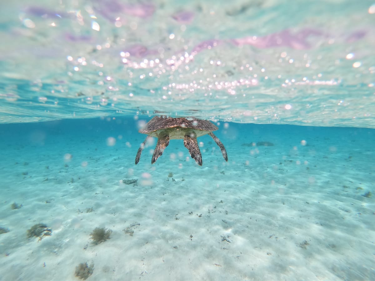 宮古島の美しい海