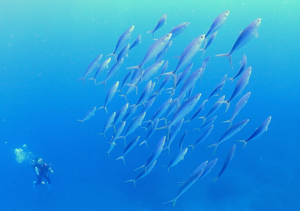 協議会の活動風景