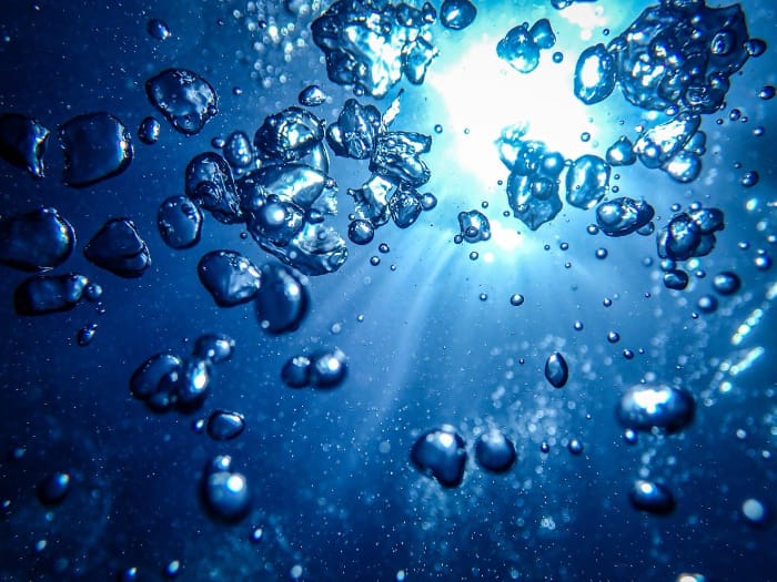 マリンビジネス